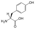 Structure de la tyrosine