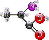 L ou S(+)-alanine et D ou R(-)-alanine