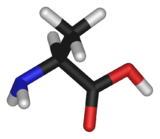 L ou S(+)-alanine et D ou R(-)-alanine