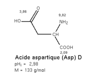 Acide aspartique