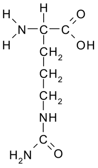 Chemical structure of Citrulline