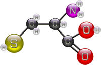 Cysteine.jpg