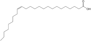 Acide nervonique